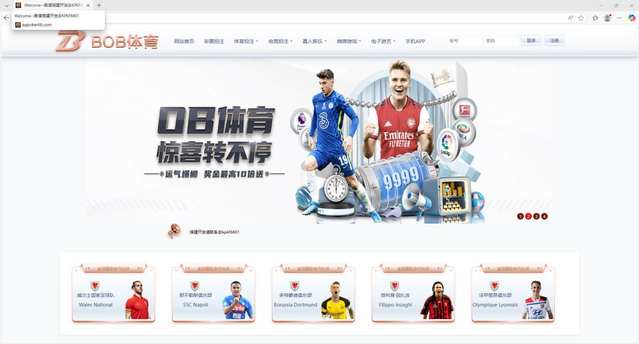 独家专享！！市面上唯一一款综合盘带排列五和七星彩！！自己二开的！相中的速度联系！！！